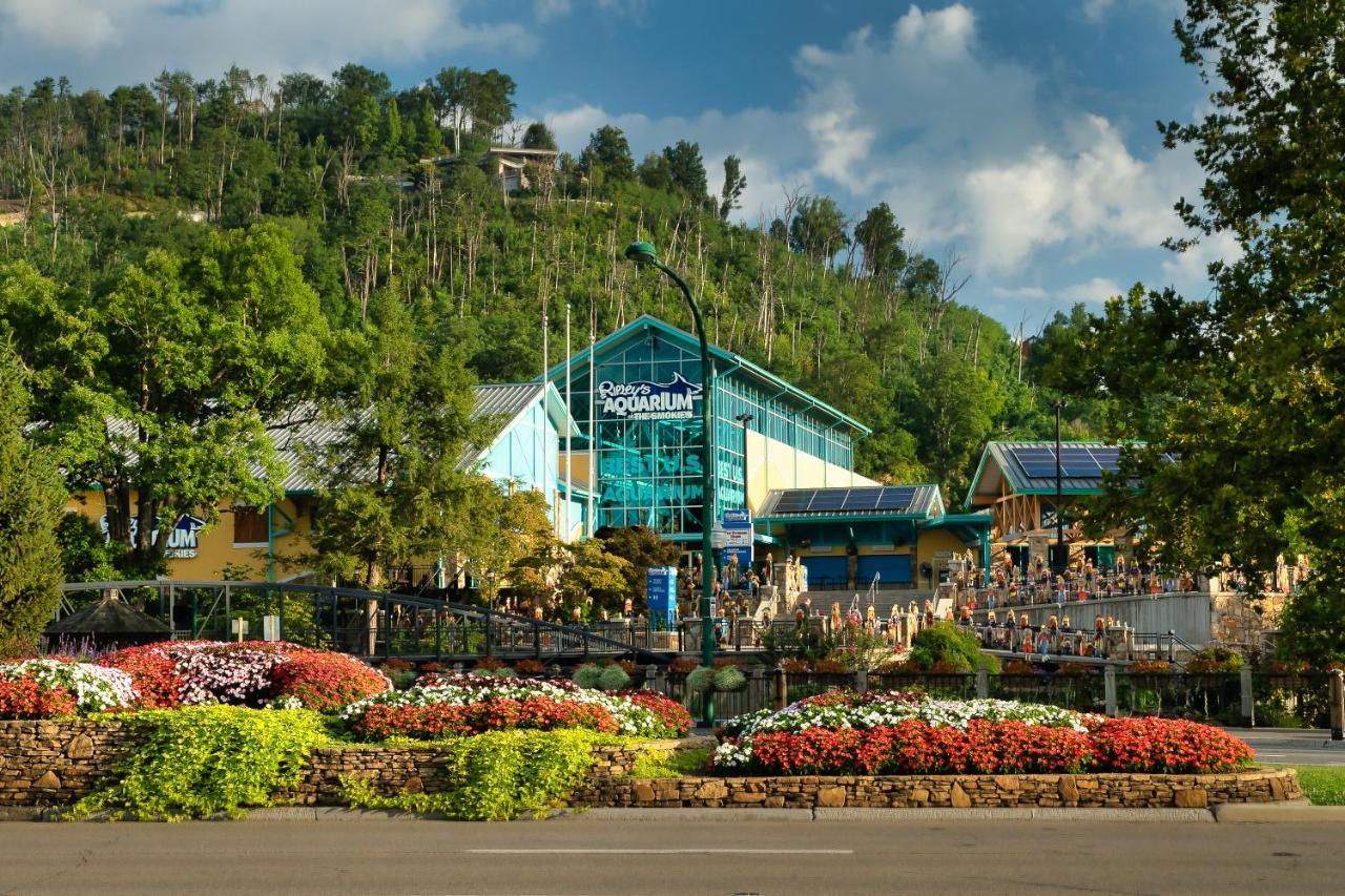 Gnome Alone Villa เซอเวียร์วีล ภายนอก รูปภาพ